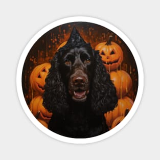 Halloween Irish Water Spaniel Magnet